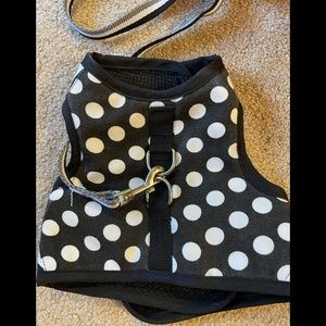 Cat Harness and Leash, Size Large, Black With White Polka Dots